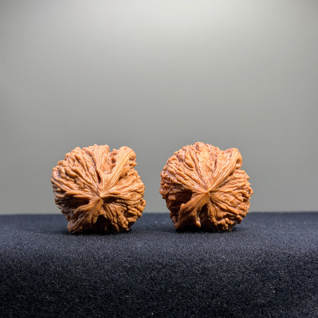 Nanjiang Stone Wenwan Walnut · 36mm · Select Ritual