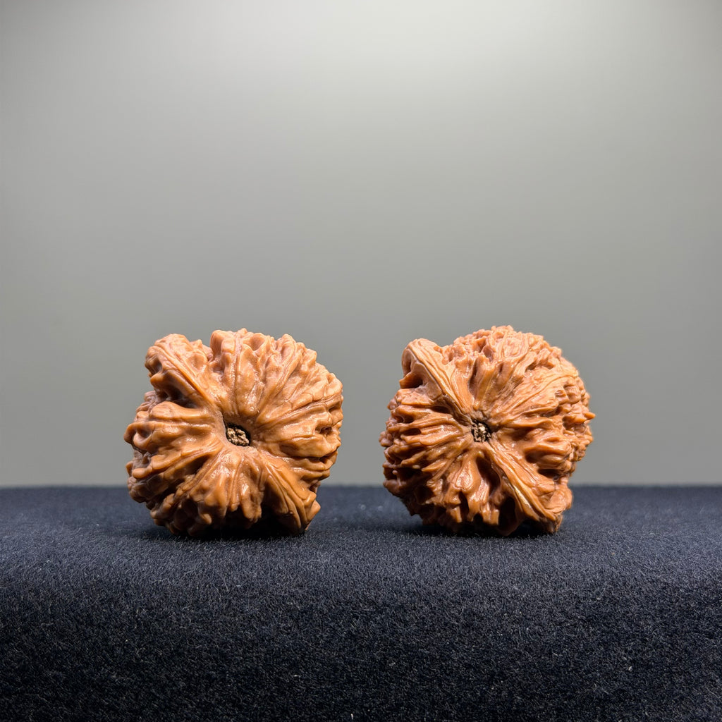 Nanjiang Stone Wenwan Walnut · 36mm · Select Ritual