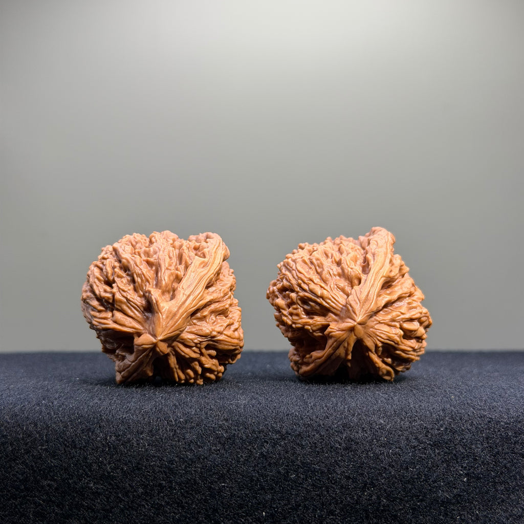 Nanjiang Stone Wenwan Walnut · 37mm · Select Ritual