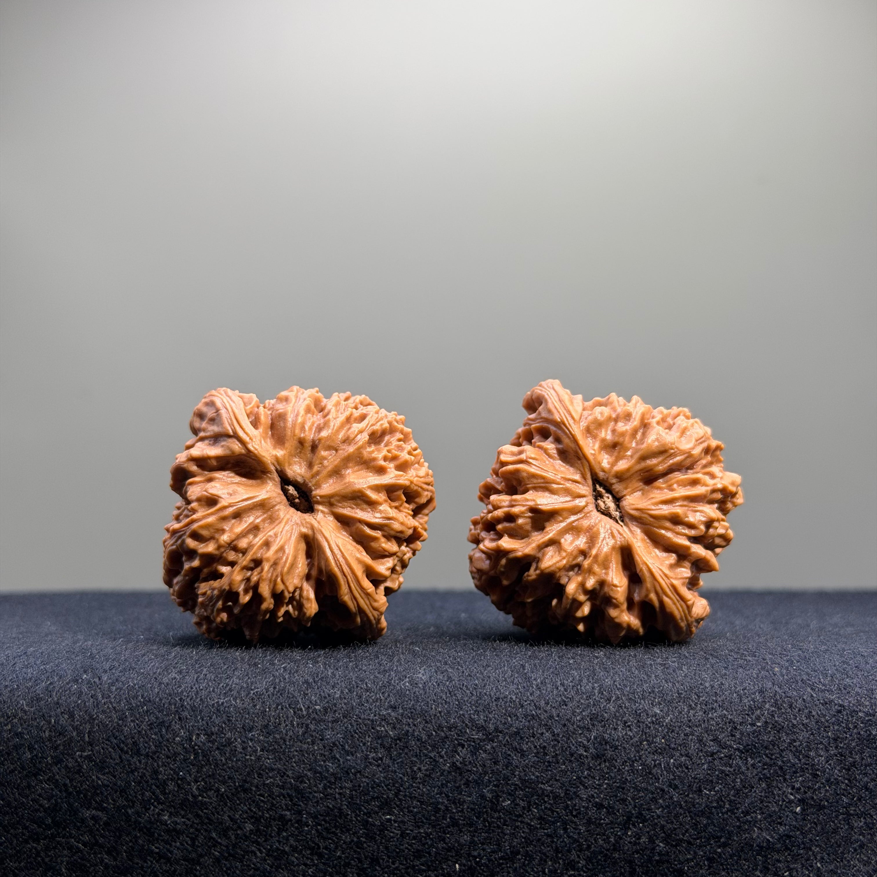 Nanjiang Stone Wenwan Walnut · 37mm · Select Ritual