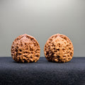 Nanjiang Stone Wenwan Walnut · 38mm · Select Ritual