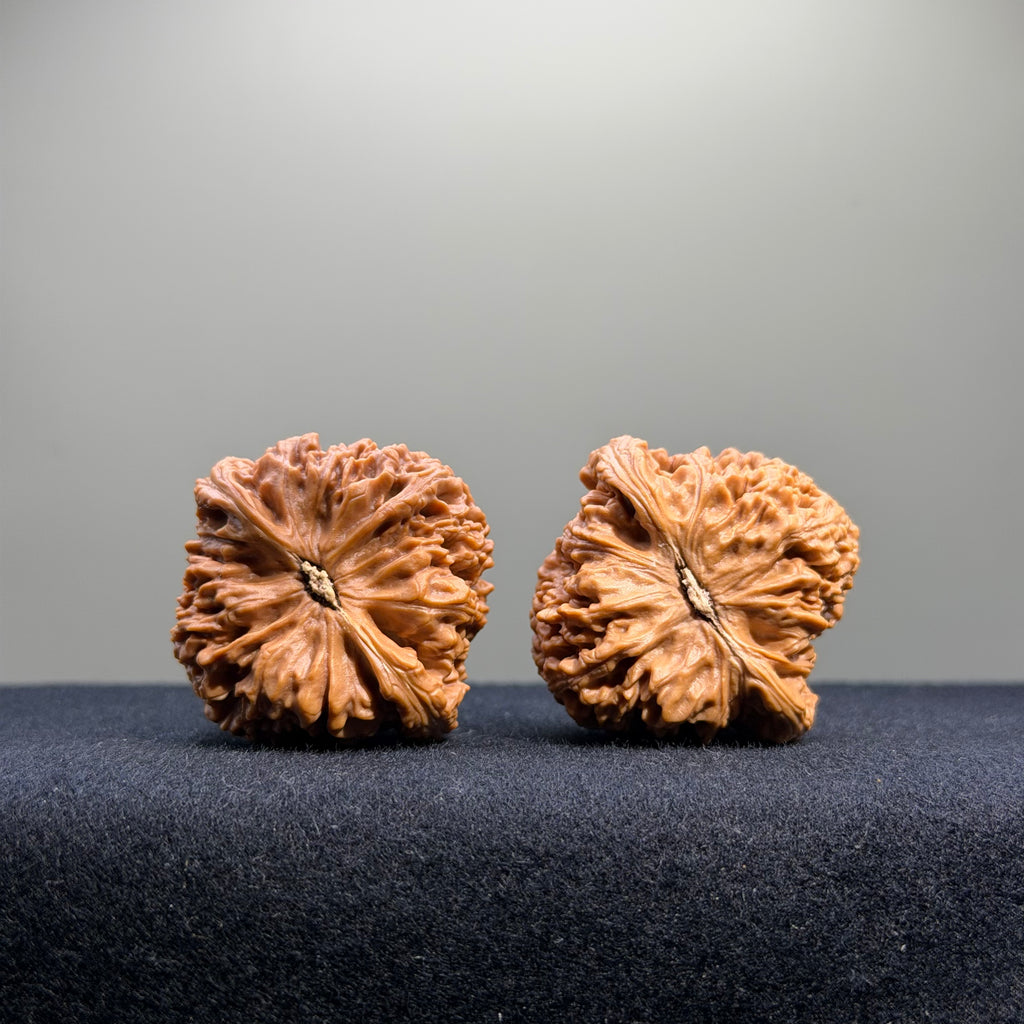Nanjiang Stone Wenwan Walnut · 38mm · Select Ritual