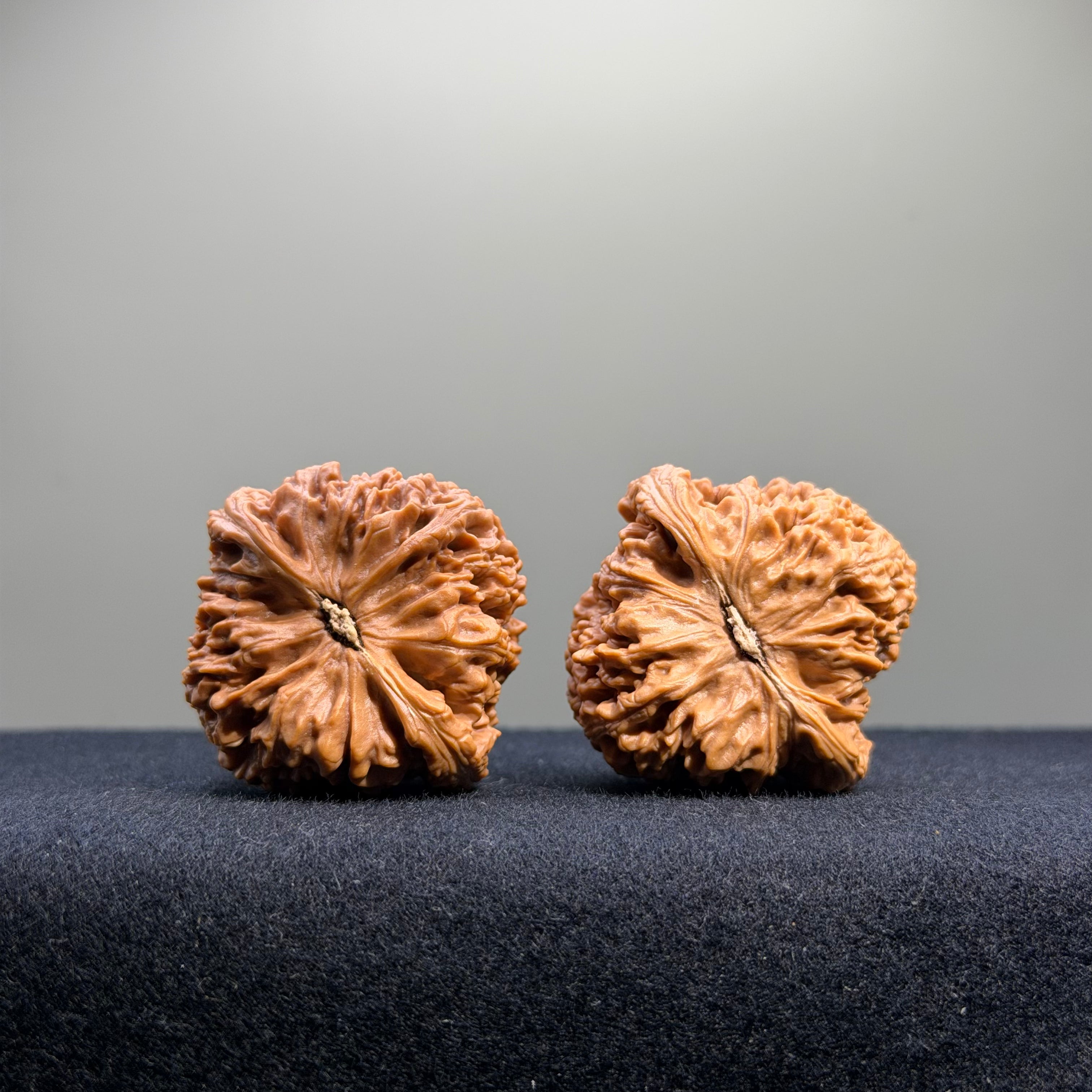 Nanjiang Stone Wenwan Walnut · 38mm · Select Ritual
