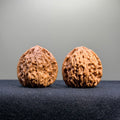 Nanjiang Stone Wenwan Walnut · 37mm · Select Ritual
