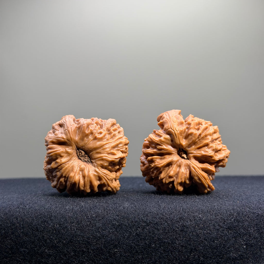 Nanjiang Stone Wenwan Walnut · 37mm · Select Ritual