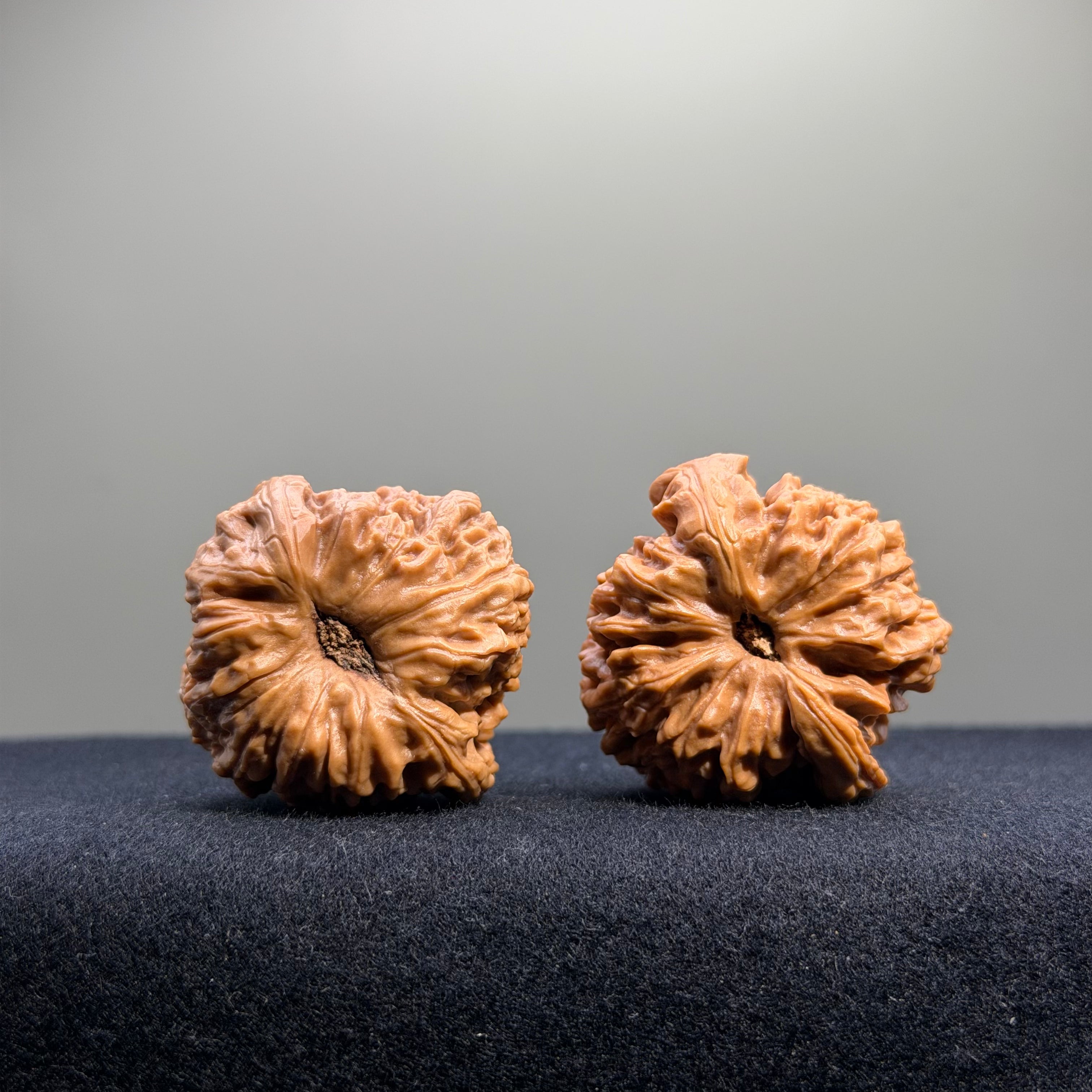 Nanjiang Stone Wenwan Walnut · 37mm · Select Ritual