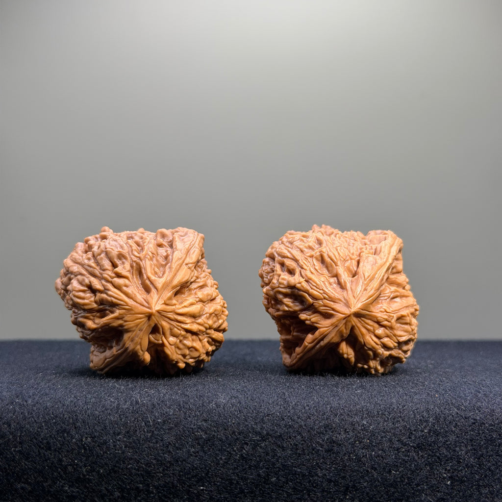 Nanjiang Stone Wenwan Walnut · 37mm · Select Ritual
