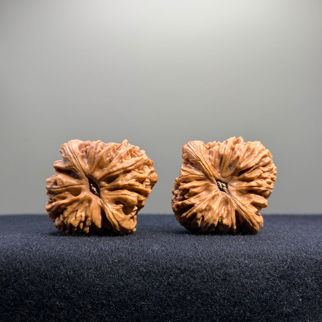 Nanjiang Stone Wenwan Walnut · 37mm · Select Ritual