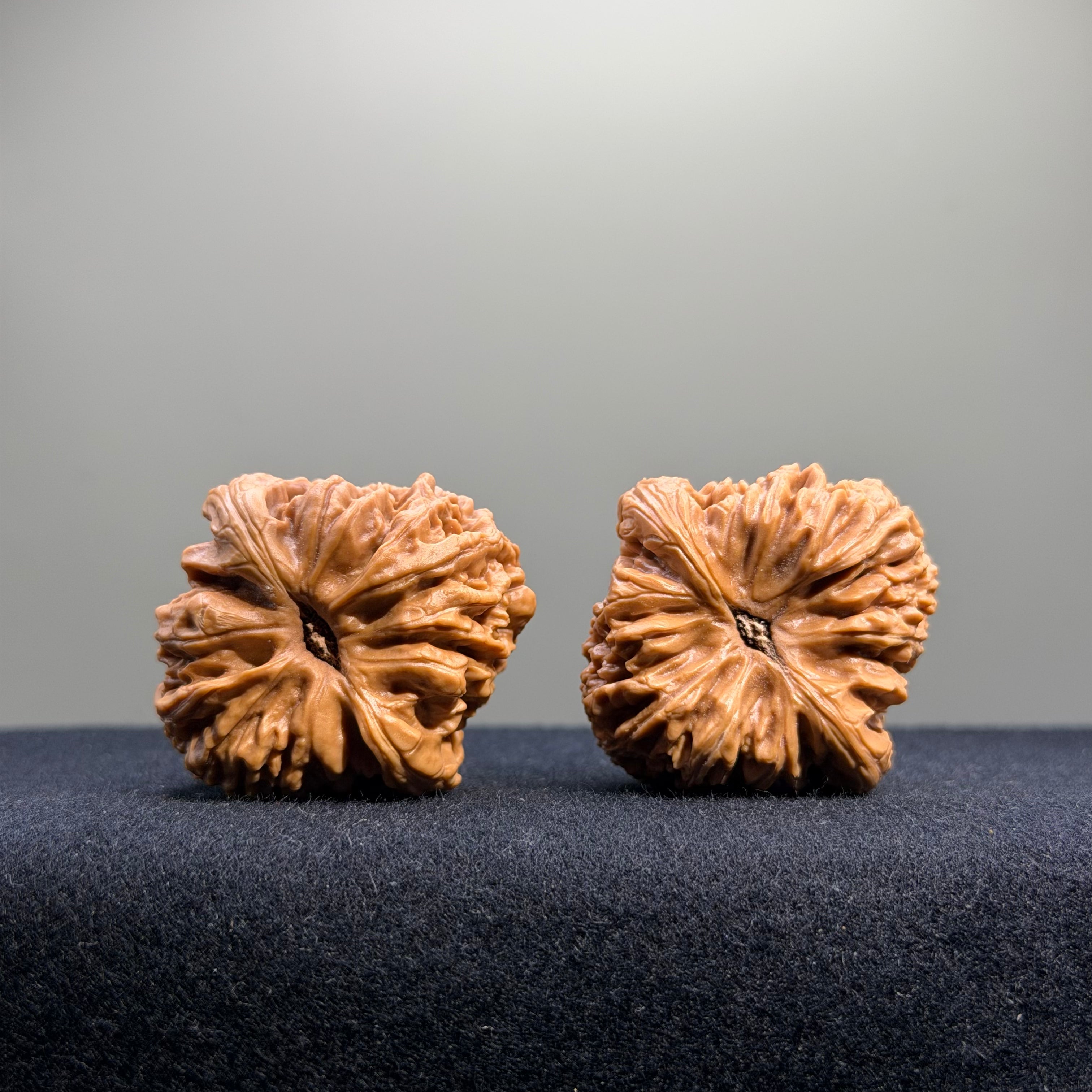 Nanjiang Stone Wenwan Walnut · 37mm · Select Ritual