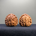 Nanjiang Stone Wenwan Walnut · 39mm · Select Ritual