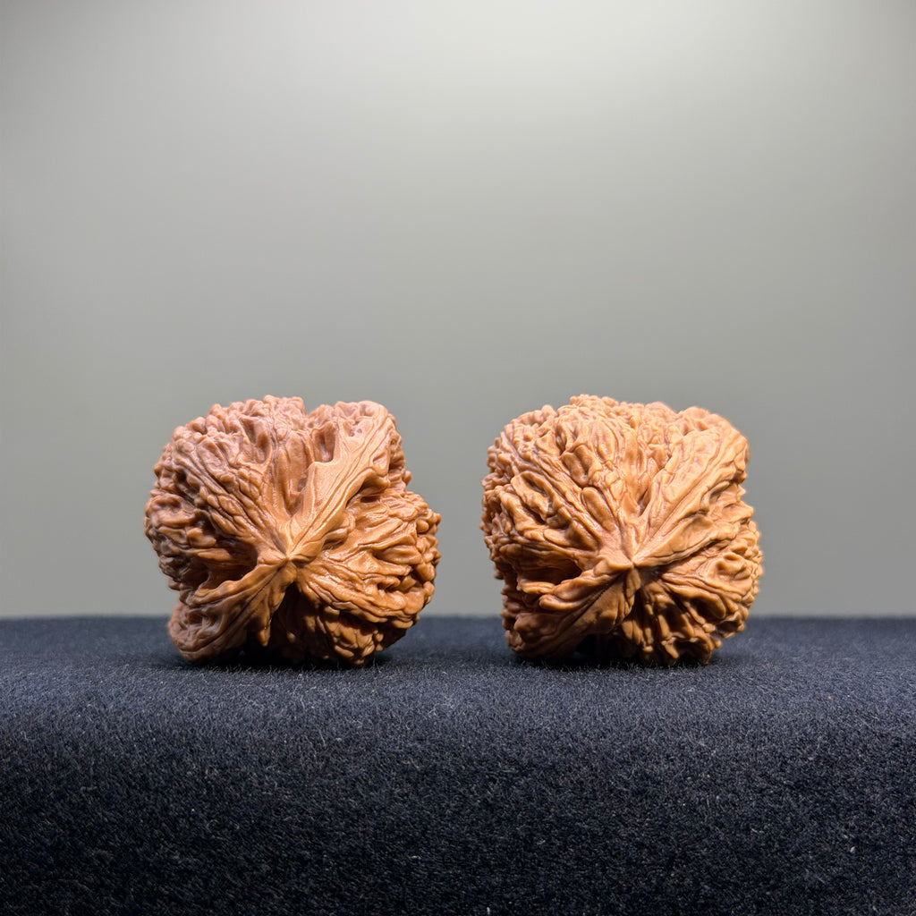 Nanjiang Stone Wenwan Walnut · 39mm · Select Ritual