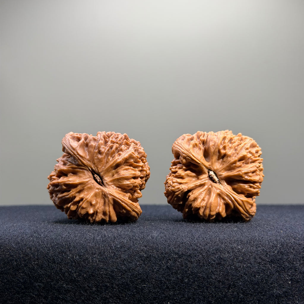 Nanjiang Stone Wenwan Walnut · 39mm · Select Ritual