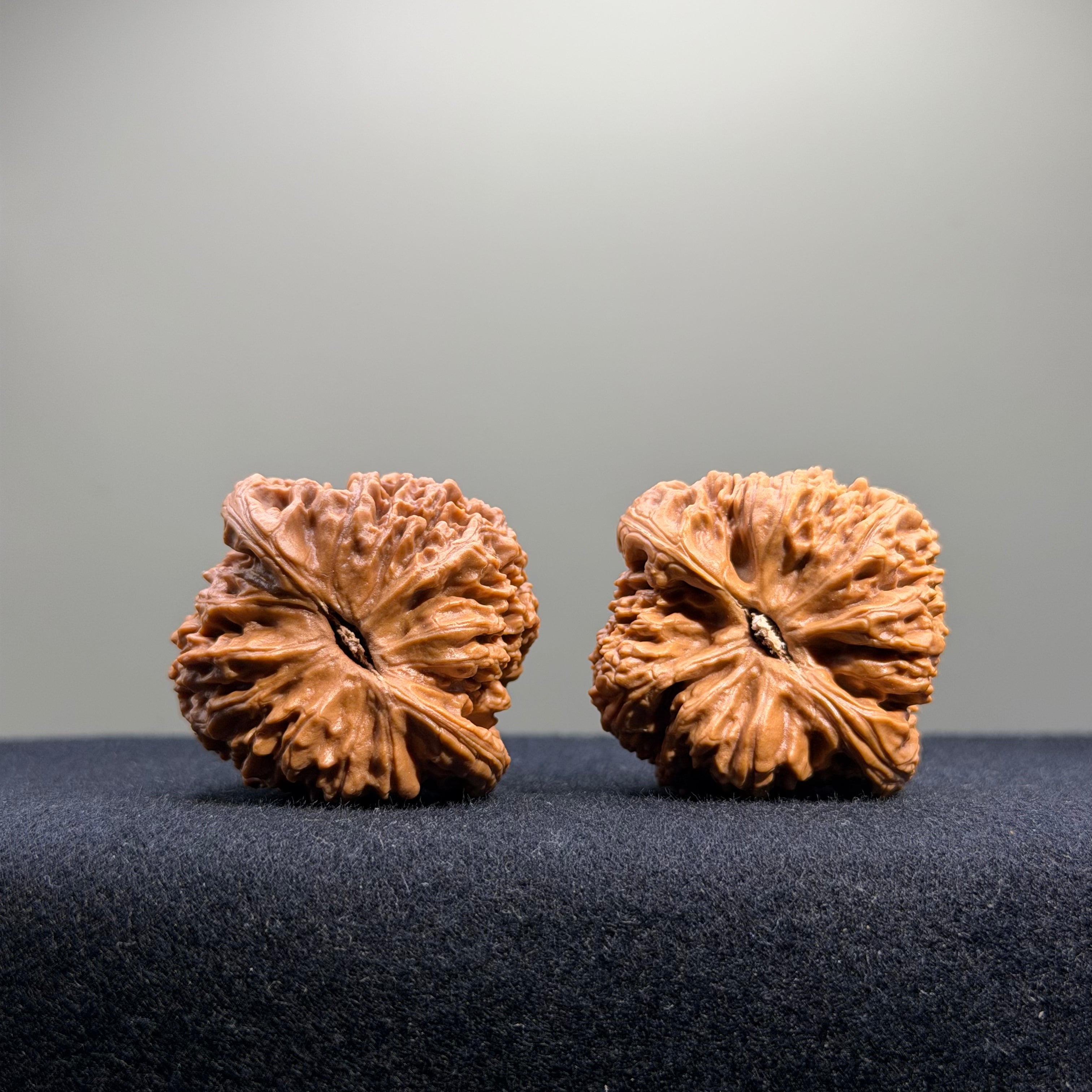 Nanjiang Stone Wenwan Walnut · 39mm · Select Ritual