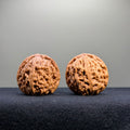 Nanjiang Stone Wenwan Walnut · 37mm · Select Ritual