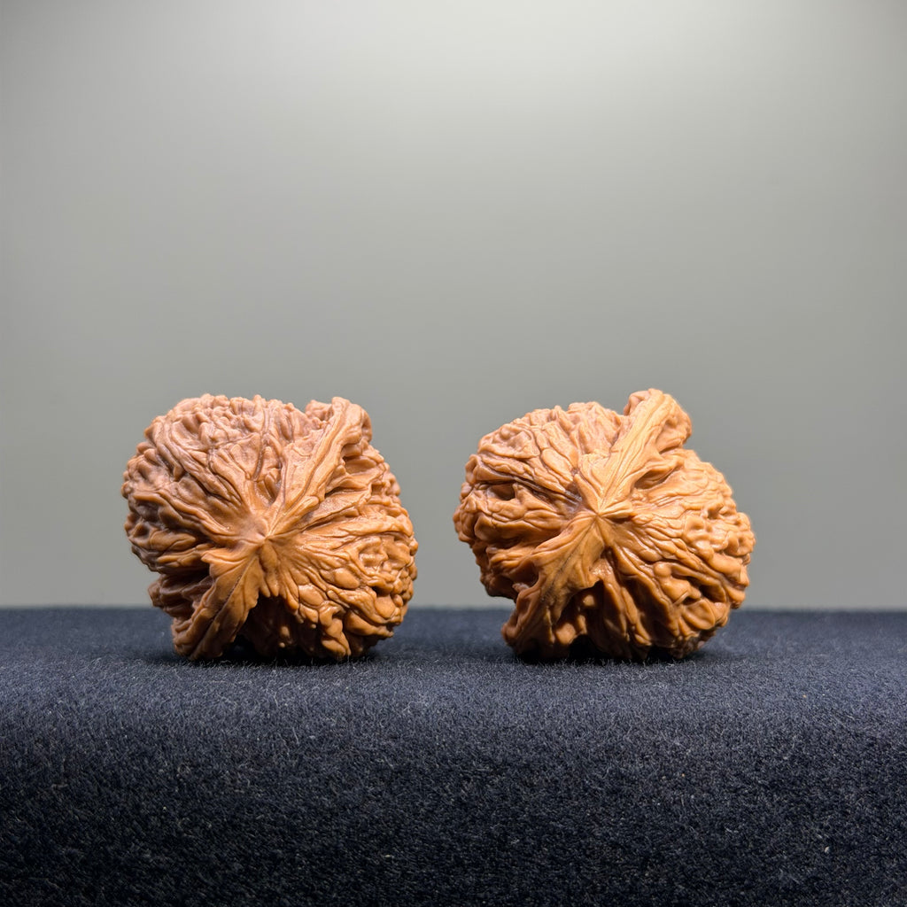 Nanjiang Stone Wenwan Walnut · 37mm · Select Ritual