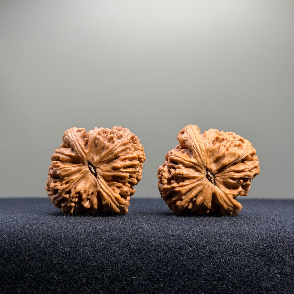 Nanjiang Stone Wenwan Walnut · 37mm · Select Ritual