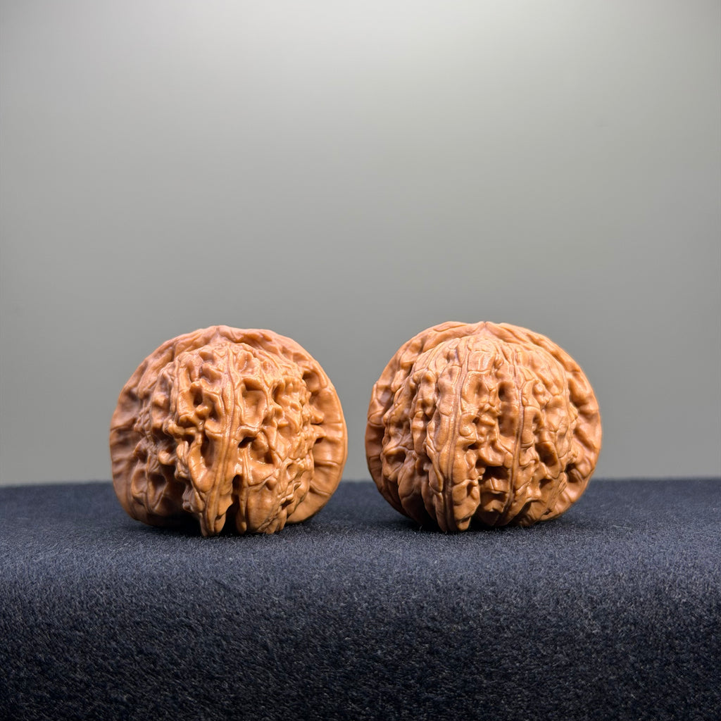 White Lion Wenwan Walnut · 37mm · Natural · Entry Ritual