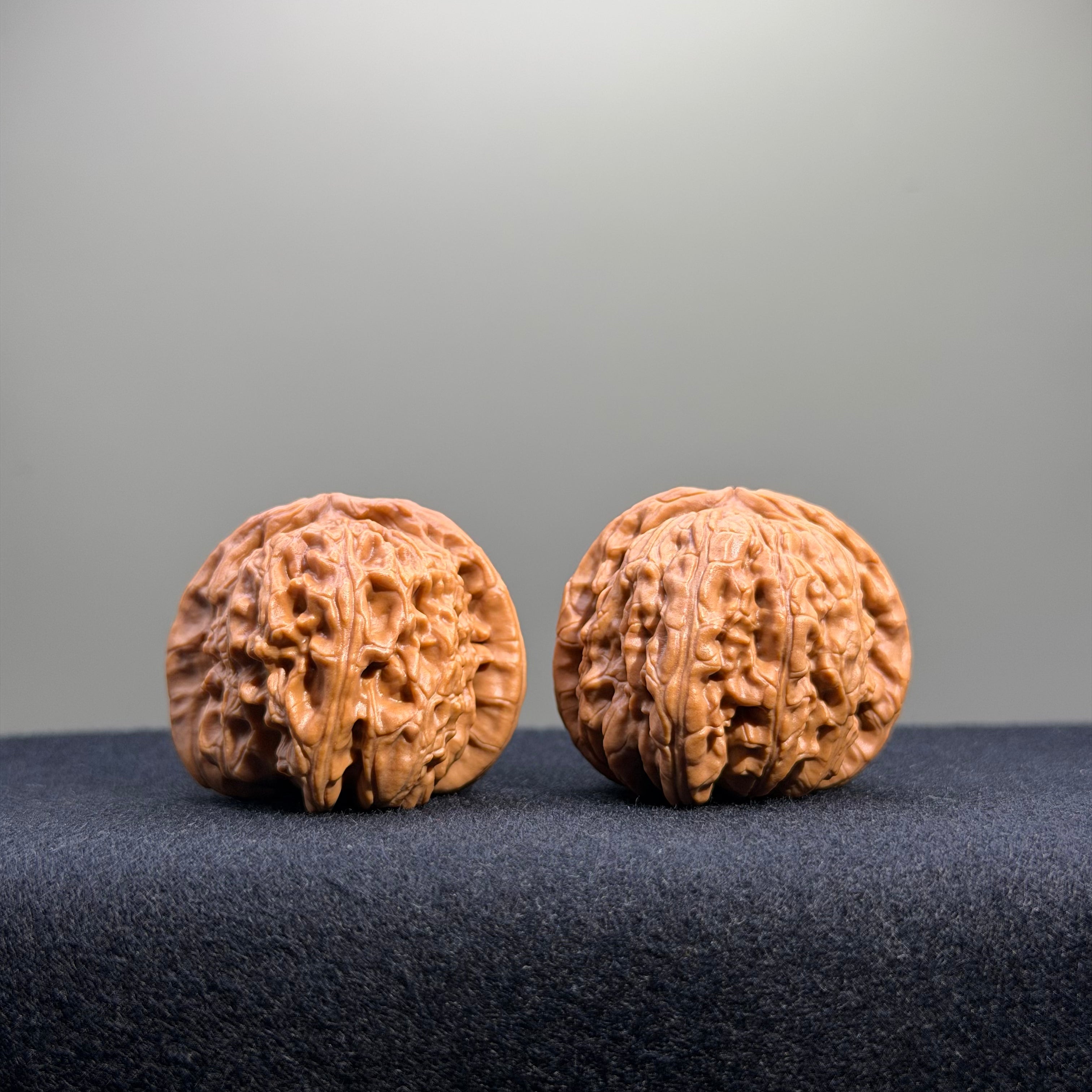 White Lion Wenwan Walnut · 37mm · Natural · Entry Ritual