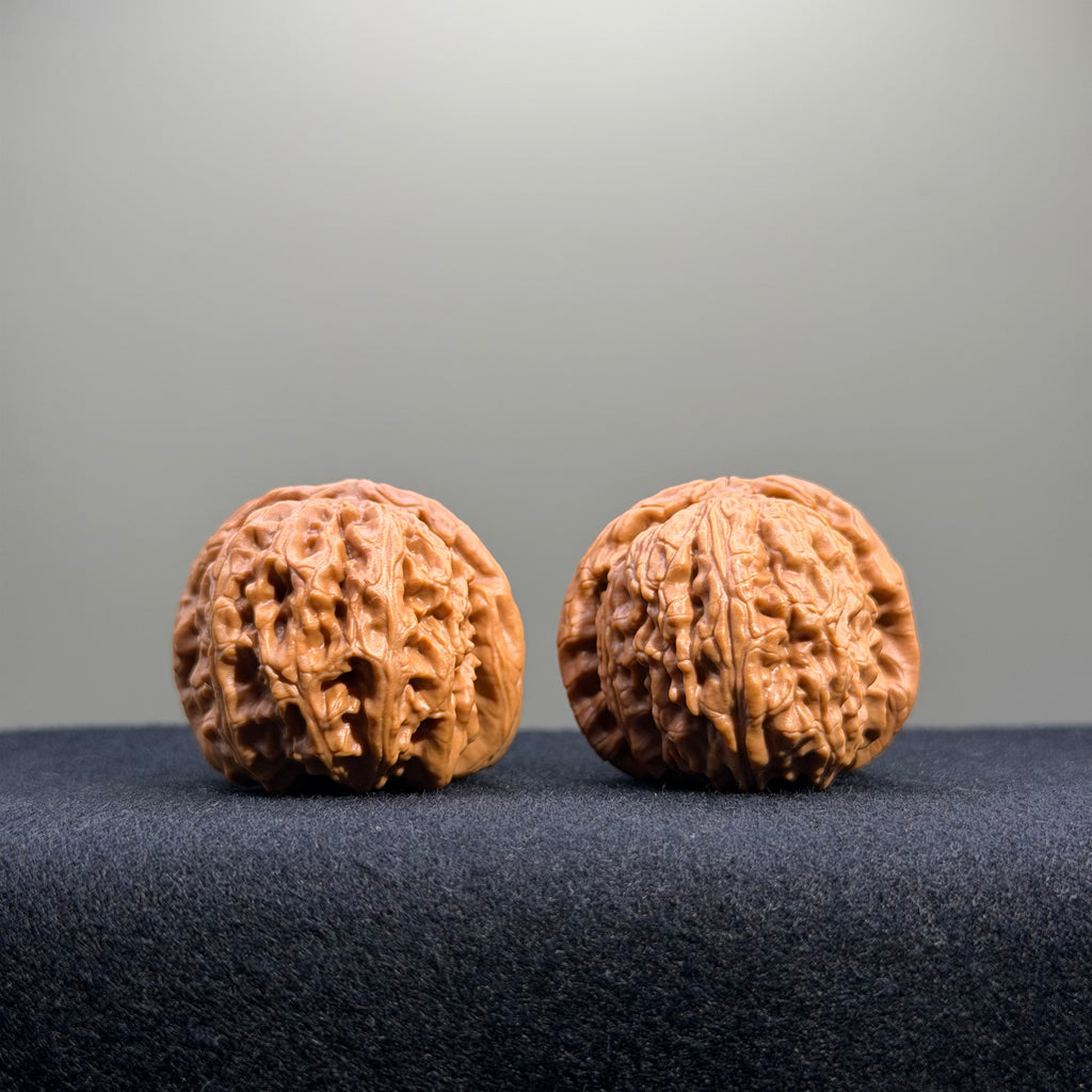 White Lion Wenwan Walnut · 37mm · Natural · Entry Ritual