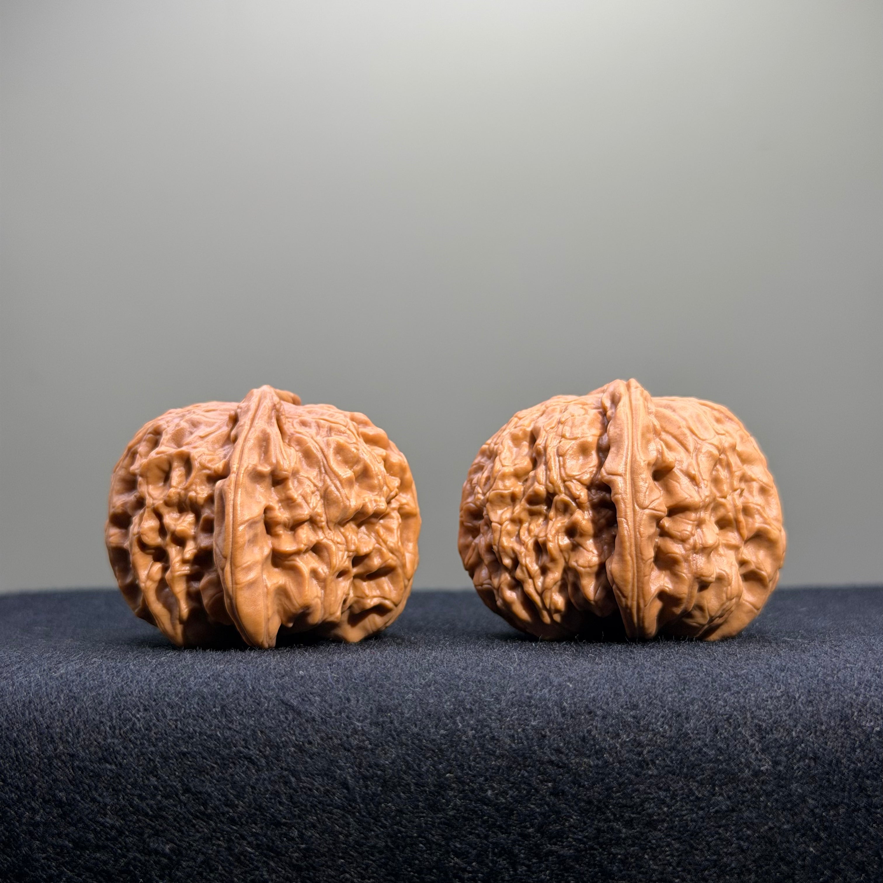 White Lion Wenwan Walnut · 37mm · Natural · Entry Ritual