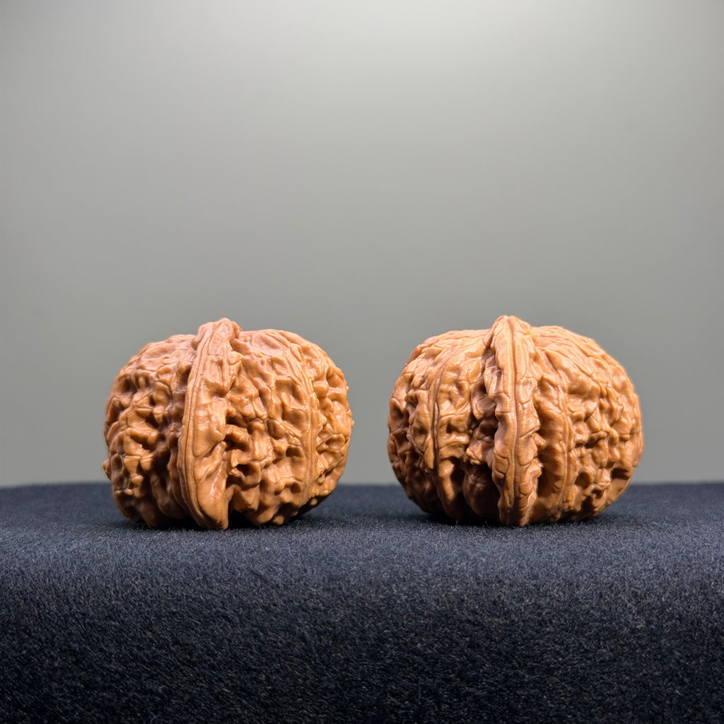 White Lion Wenwan Walnut · 37mm · Natural · Entry Ritual