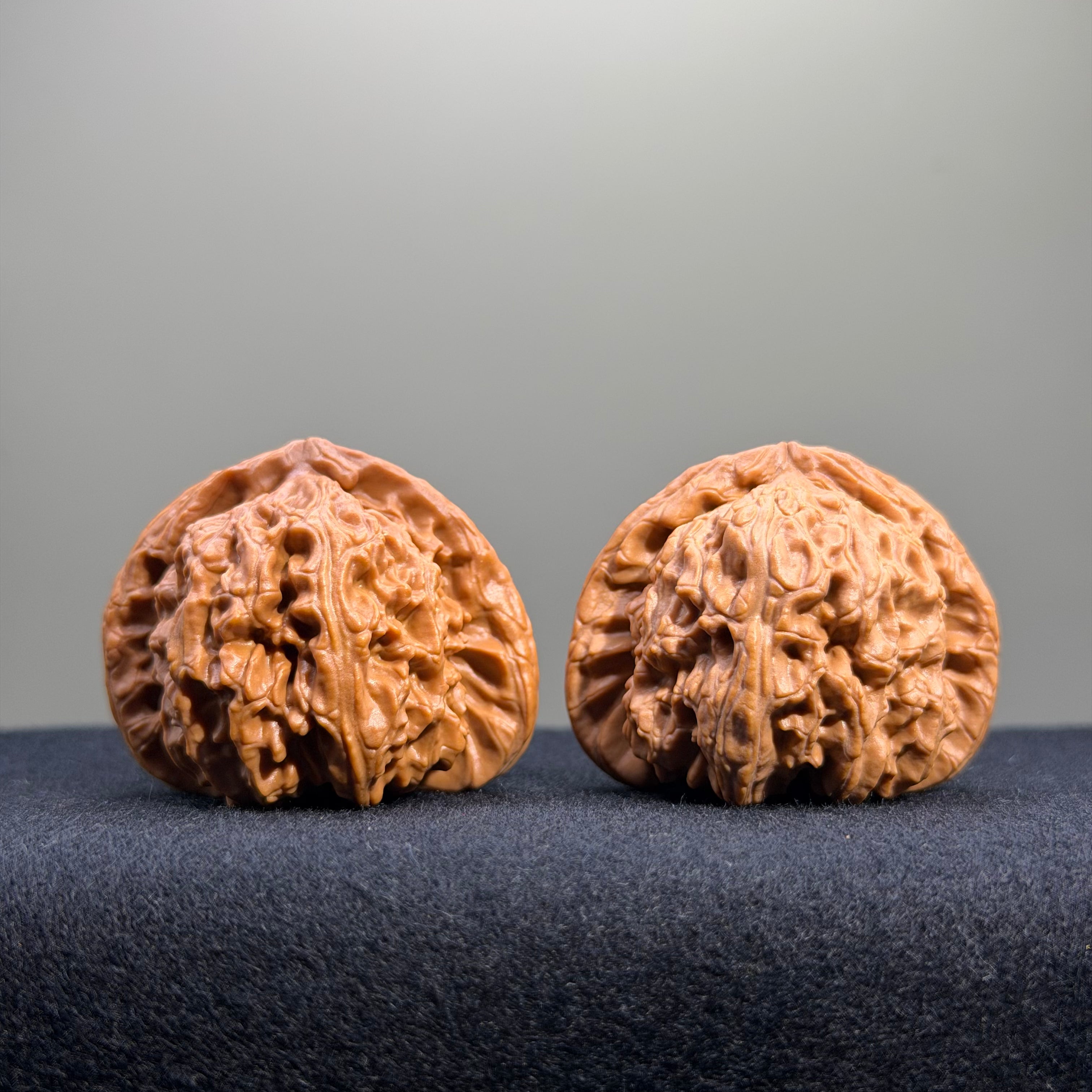 White Lion Wenwan Walnut · 41mm · Natural · Entry Ritual