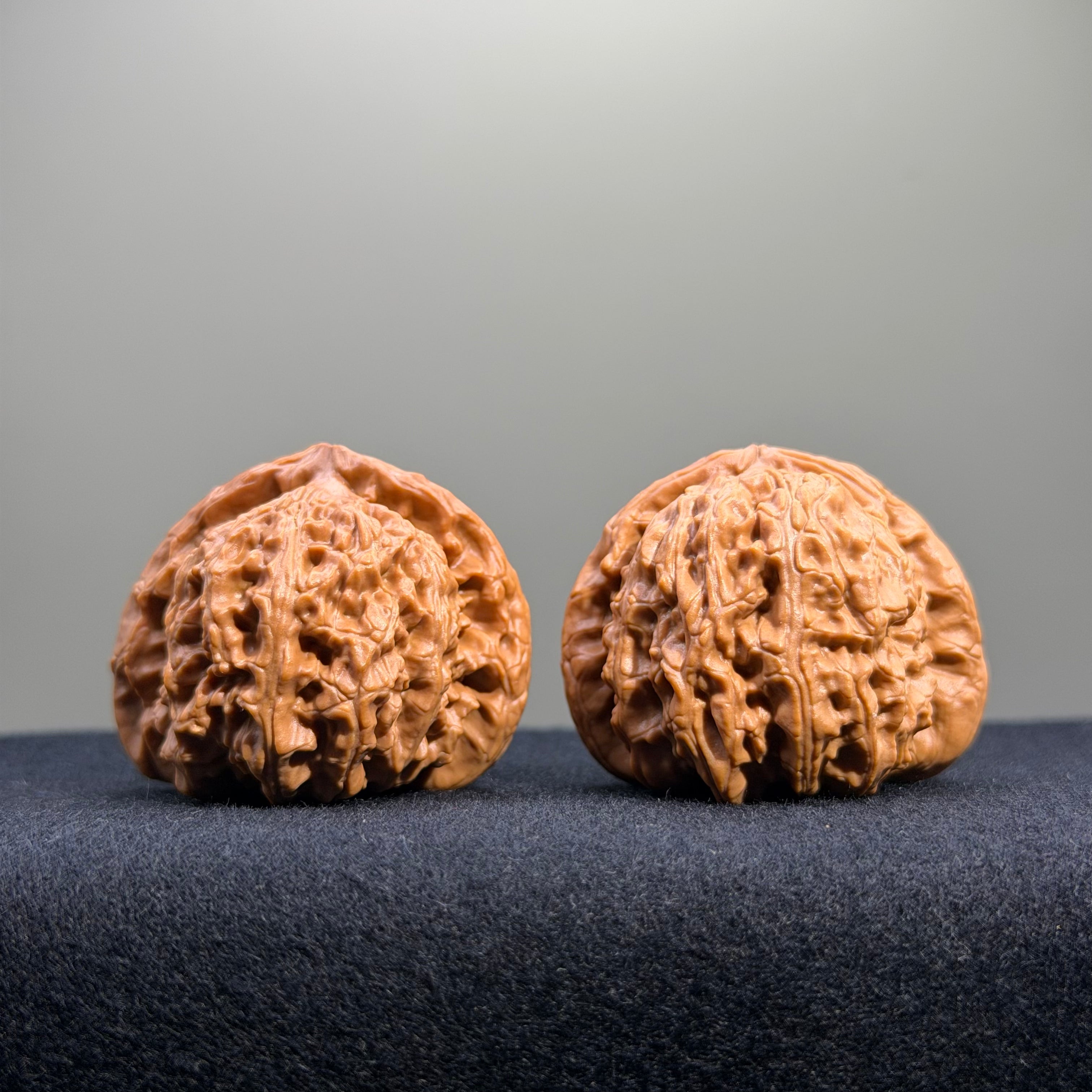 White Lion Wenwan Walnut · 41mm · Natural · Entry Ritual