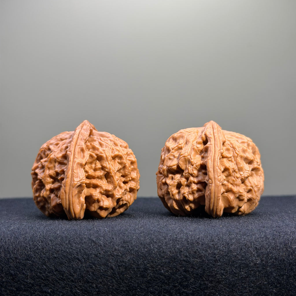White Lion Wenwan Walnut · 41mm · Natural · Entry Ritual