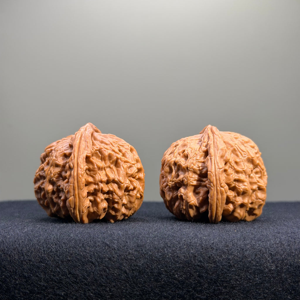 White Lion Wenwan Walnut · 41mm · Natural · Entry Ritual