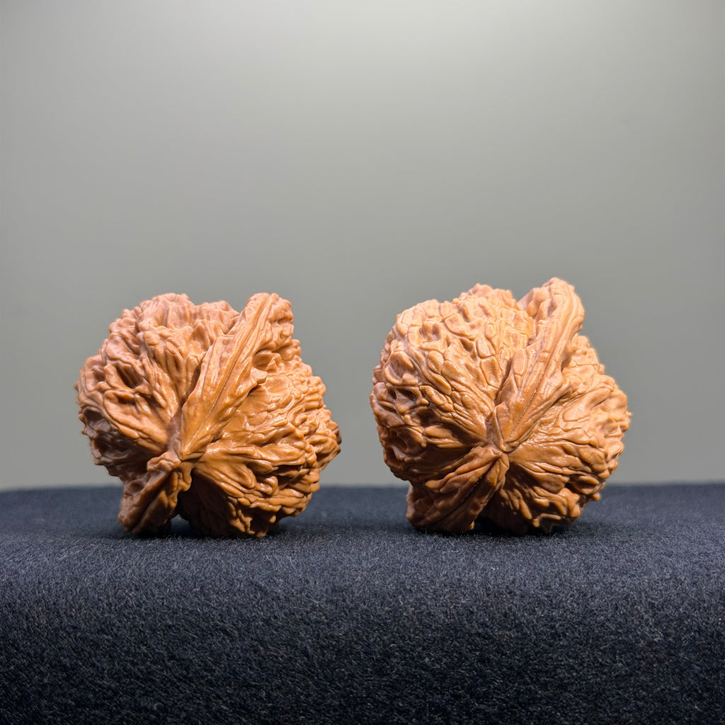 White Lion Wenwan Walnut · 41mm · Natural · Entry Ritual