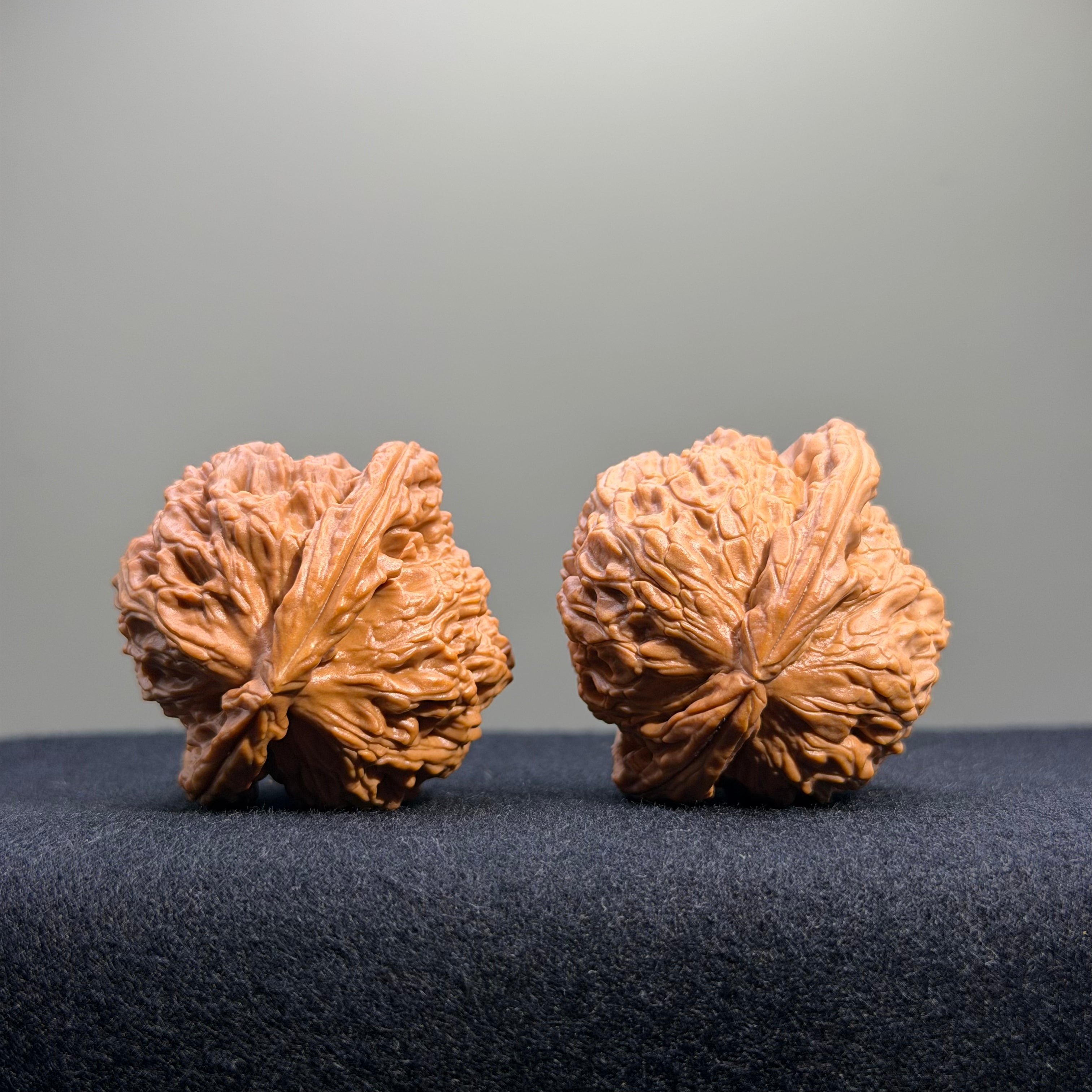 White Lion Wenwan Walnut · 41mm · Natural · Entry Ritual