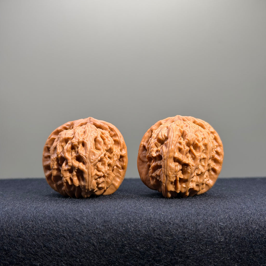 White Lion Wenwan Walnut · 35mm · Natural · Entry Ritual