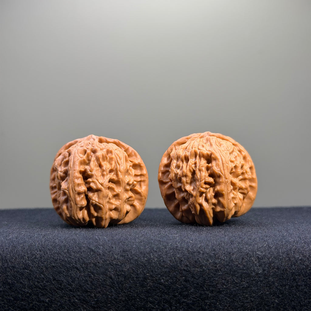White Lion Wenwan Walnut · 35mm · Natural · Entry Ritual