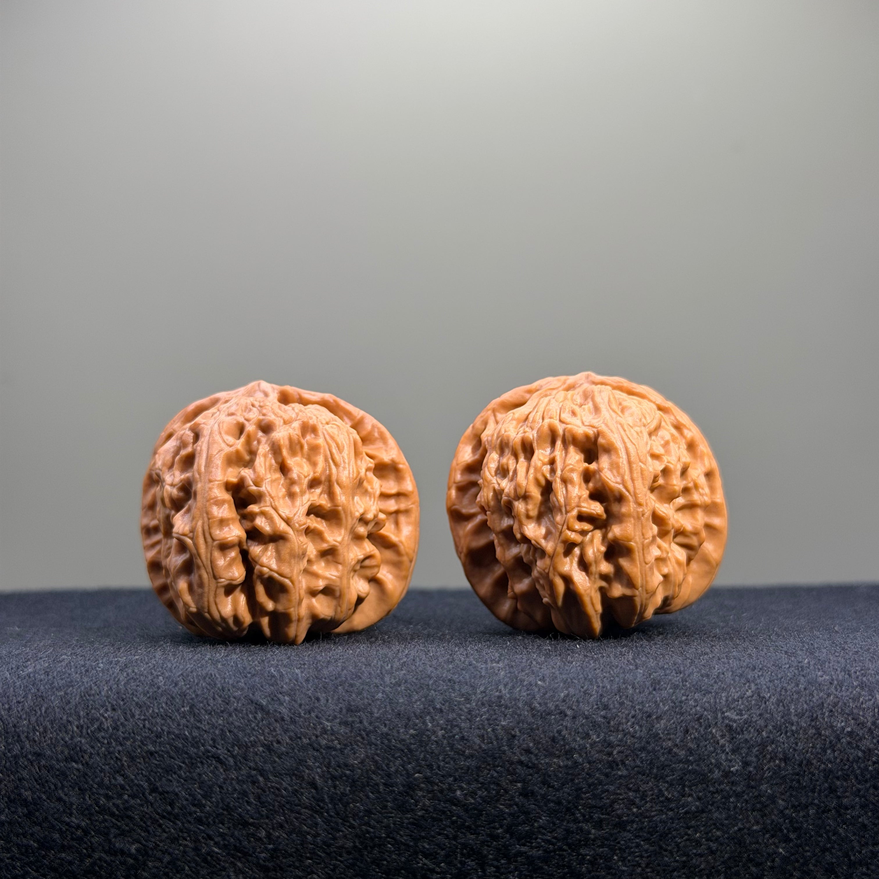 White Lion Wenwan Walnut · 35mm · Natural · Entry Ritual