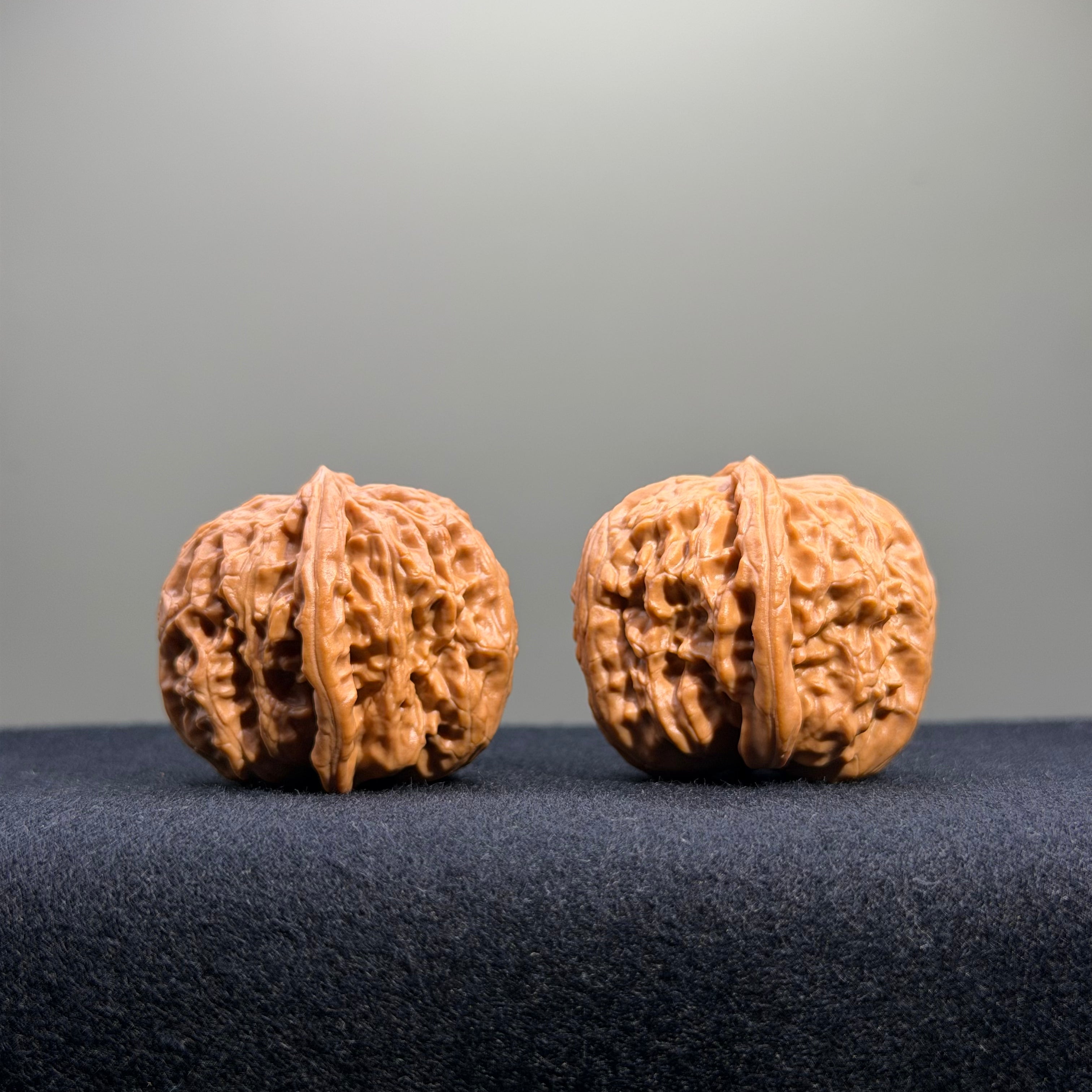 White Lion Wenwan Walnut · 35mm · Natural · Entry Ritual