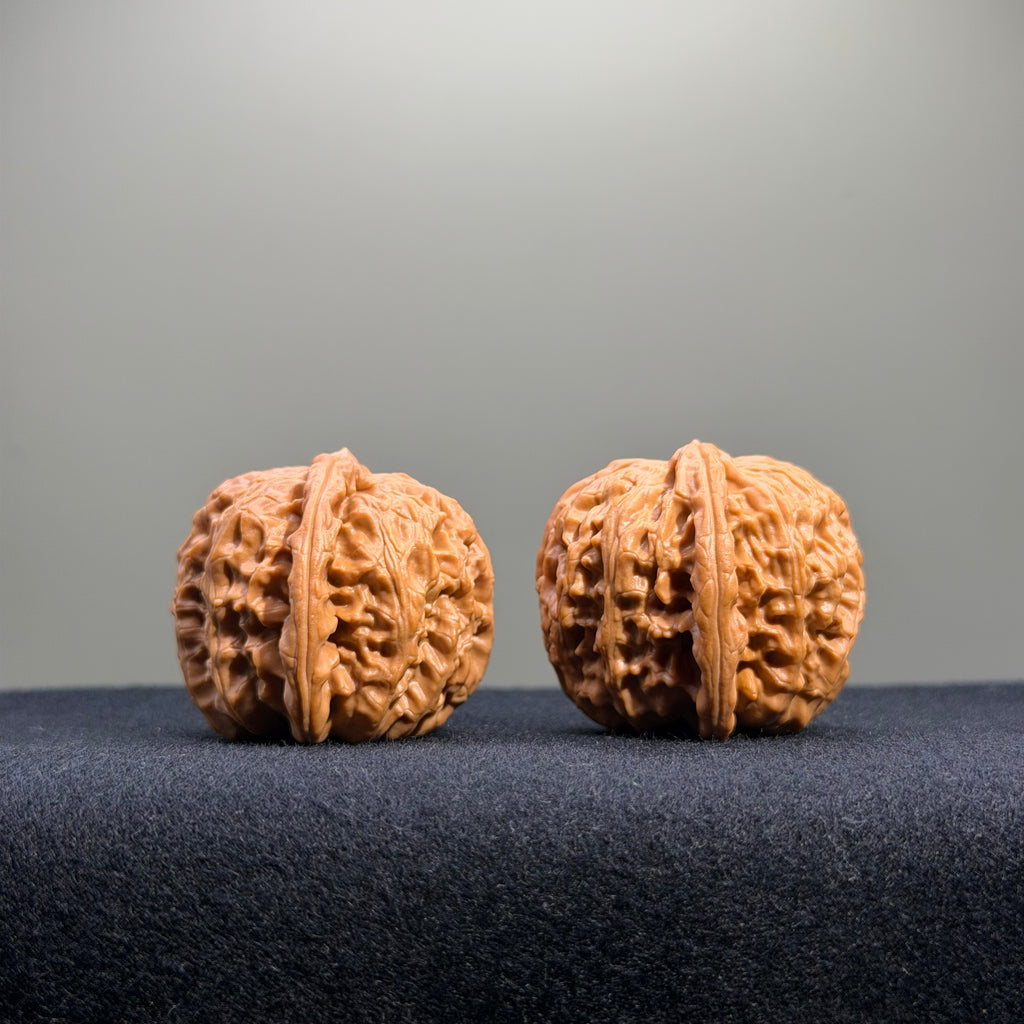White Lion Wenwan Walnut · 35mm · Natural · Entry Ritual