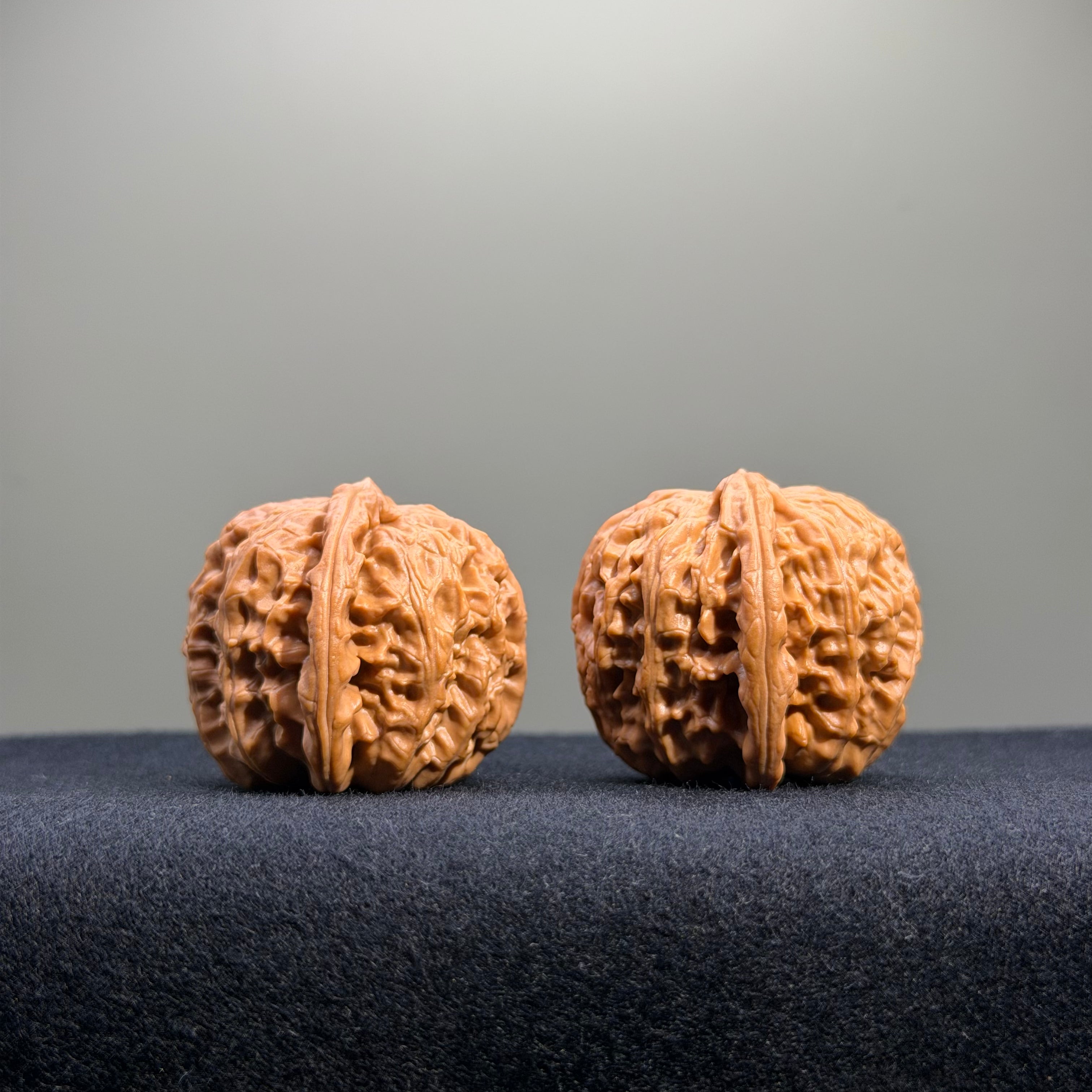 White Lion Wenwan Walnut · 35mm · Natural · Entry Ritual