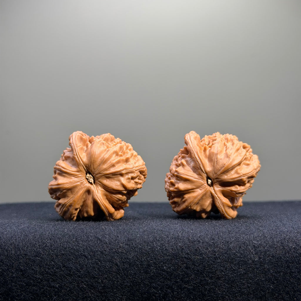 White Lion Wenwan Walnut · 35mm · Natural · Entry Ritual