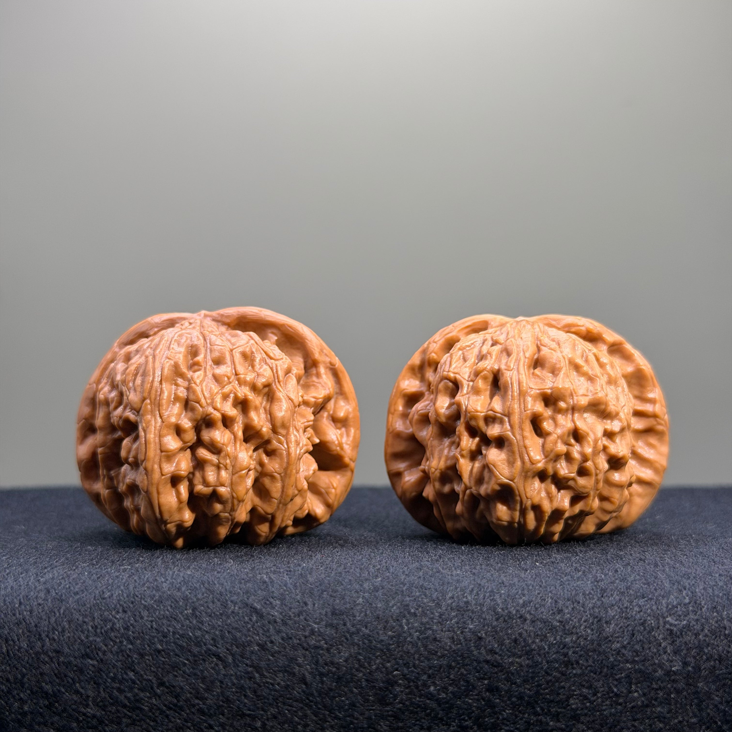White Lion Wenwan Walnut · 40mm · Entry Ritual