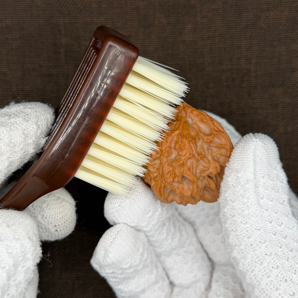 Walnut Brush Set (Nano Brush + Boar Bristle Brush)