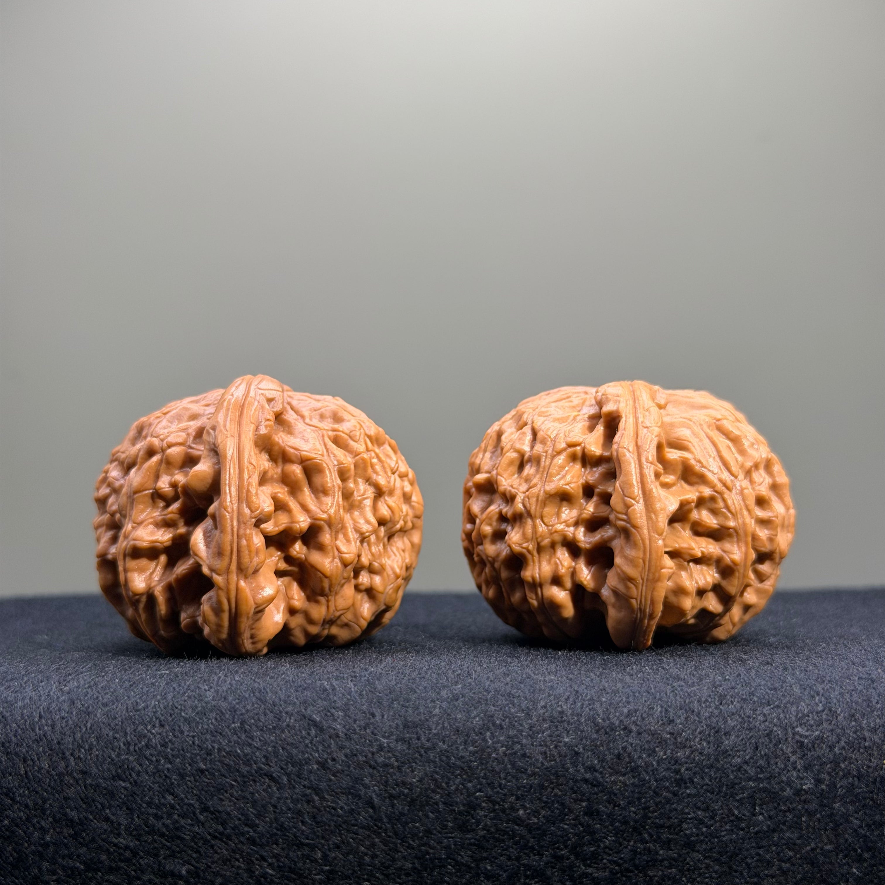 White Lion Wenwan Walnut · 40mm · Entry Ritual