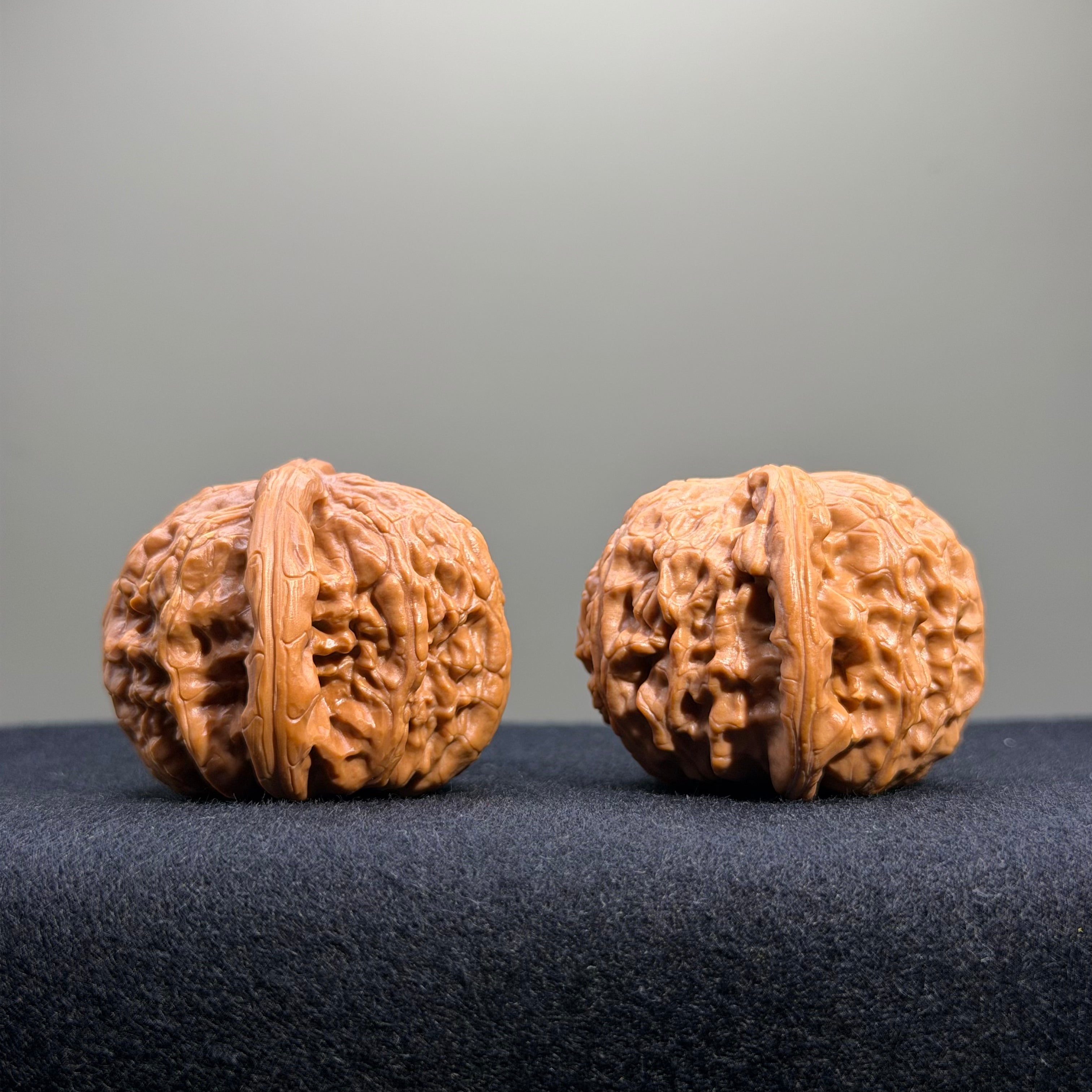 White Lion Wenwan Walnut · 40mm · Entry Ritual