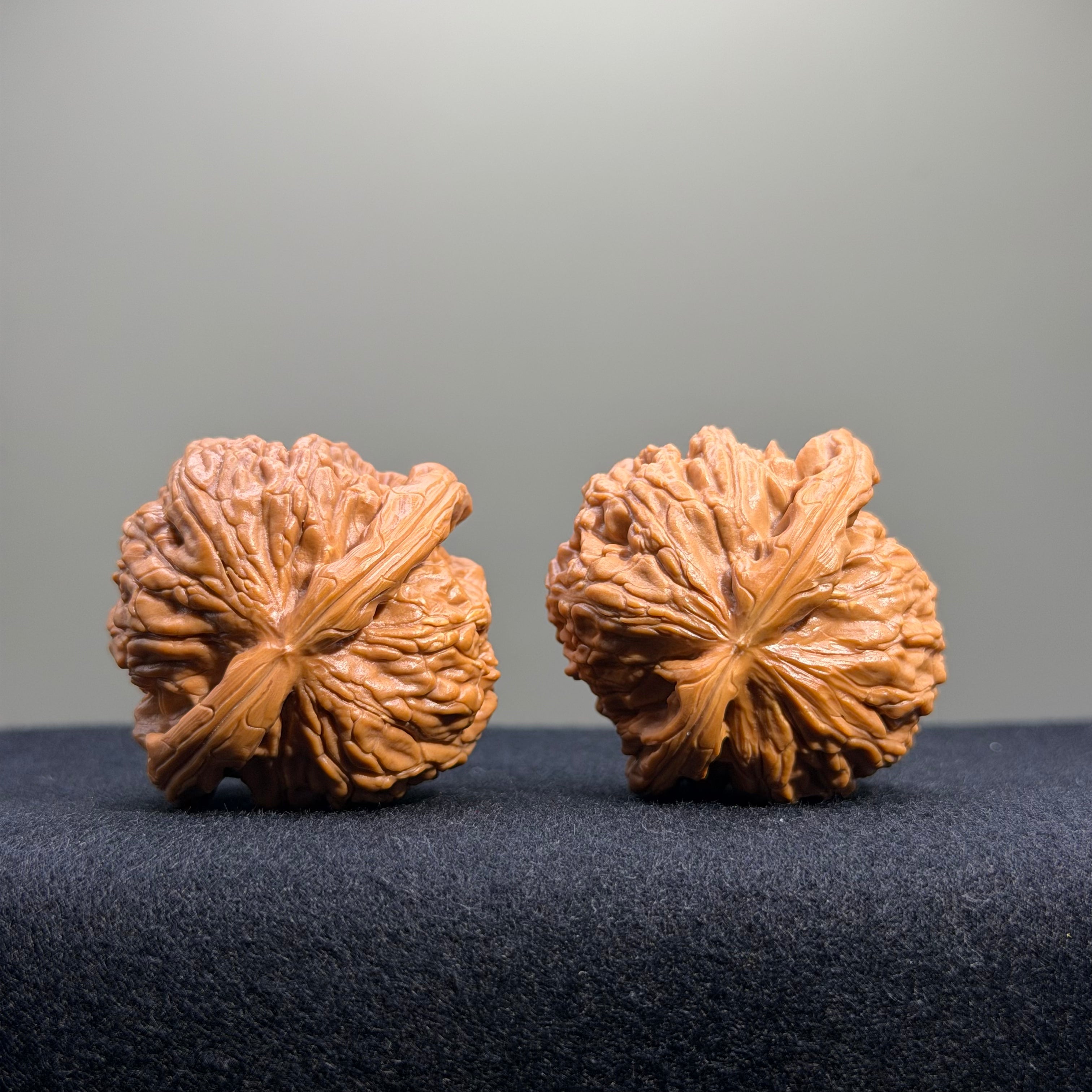 White Lion Wenwan Walnut · 40mm · Entry Ritual
