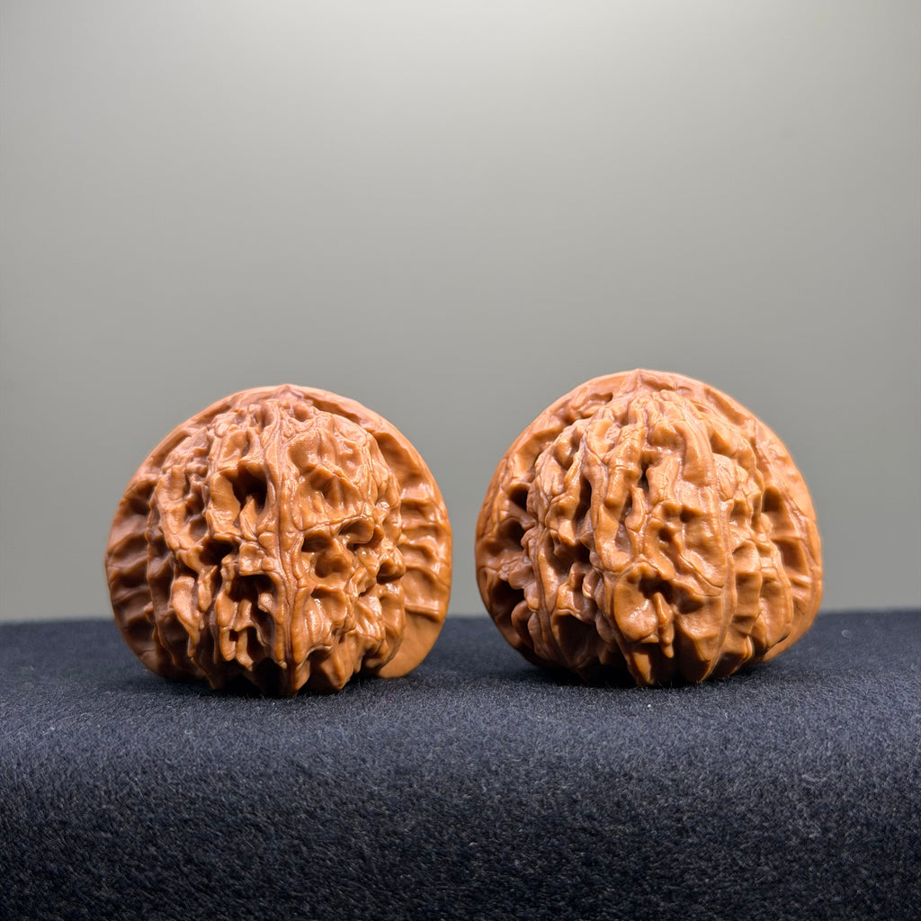 White Lion Wenwan Walnut · 39mm · Entry Ritual