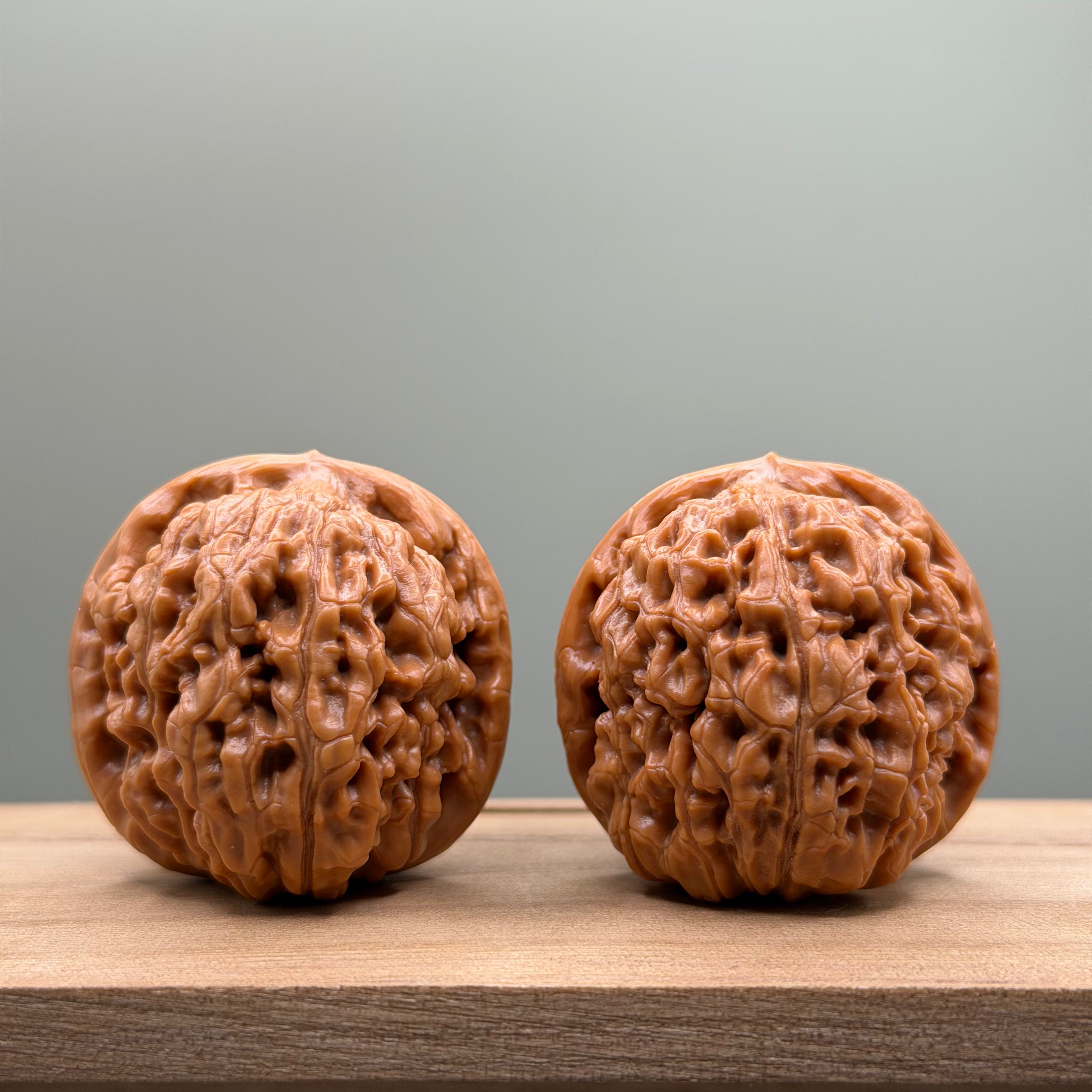 Lotus Tiger Head Walnut