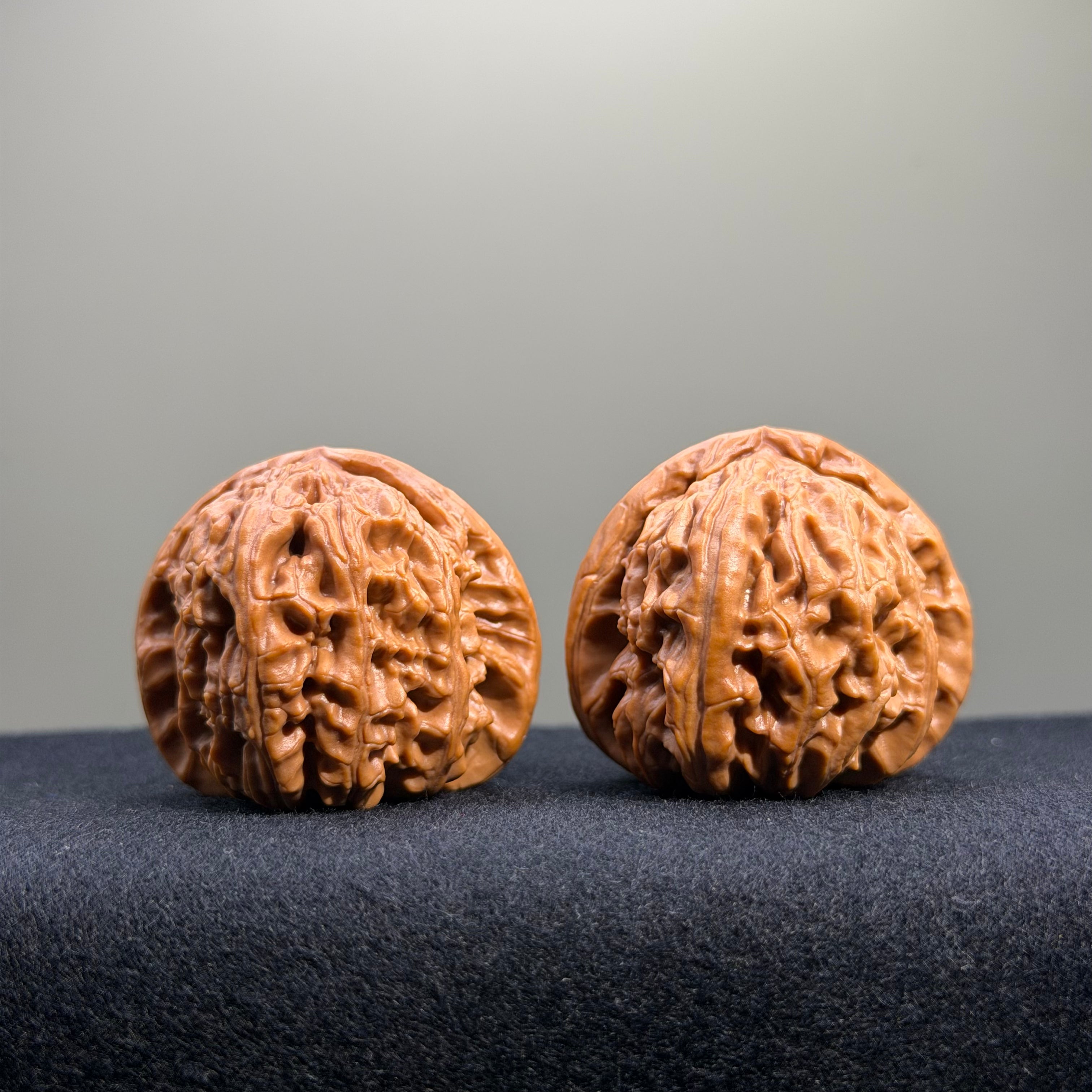 White Lion Wenwan Walnut · 39mm · Entry Ritual