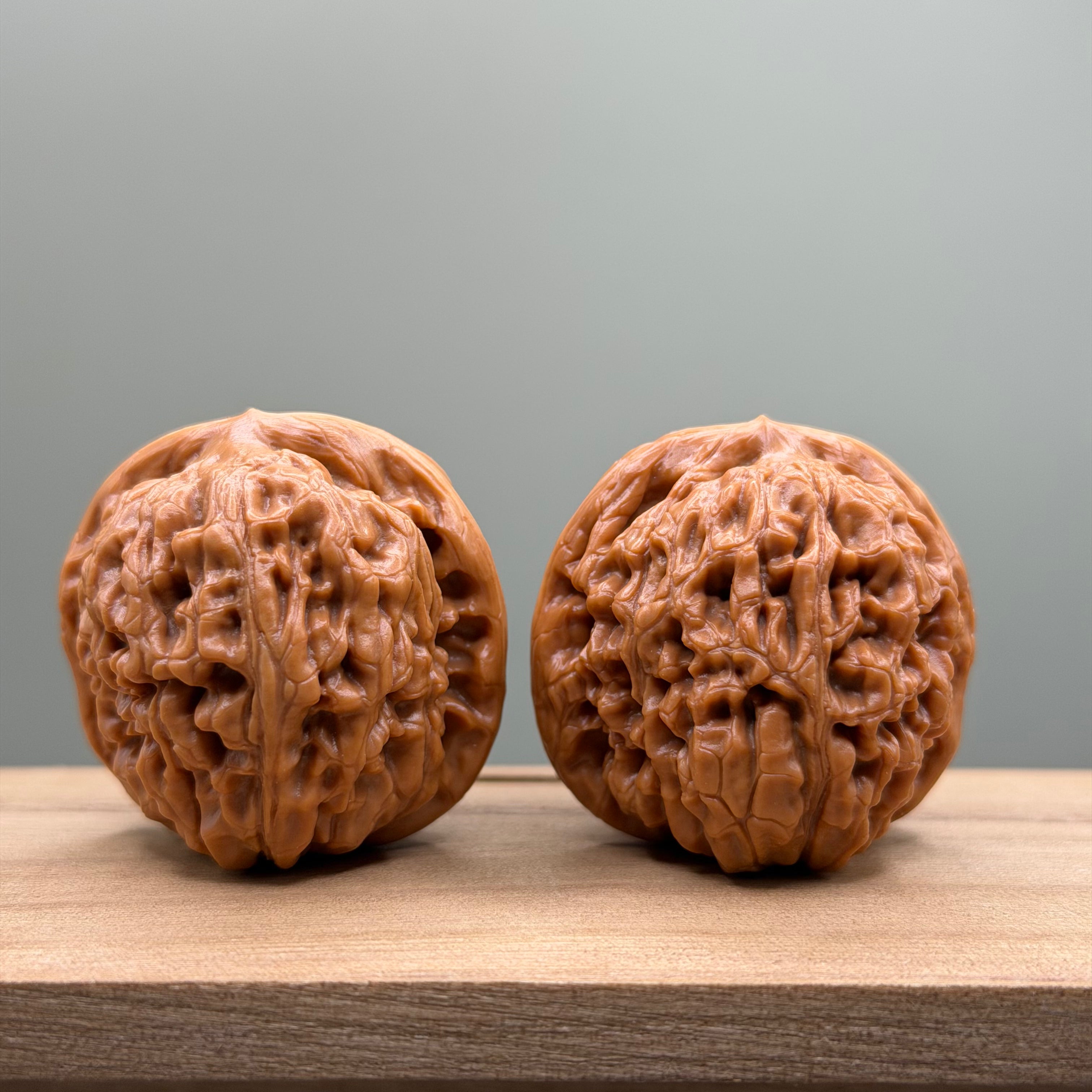 Lotus Tiger Head Walnut