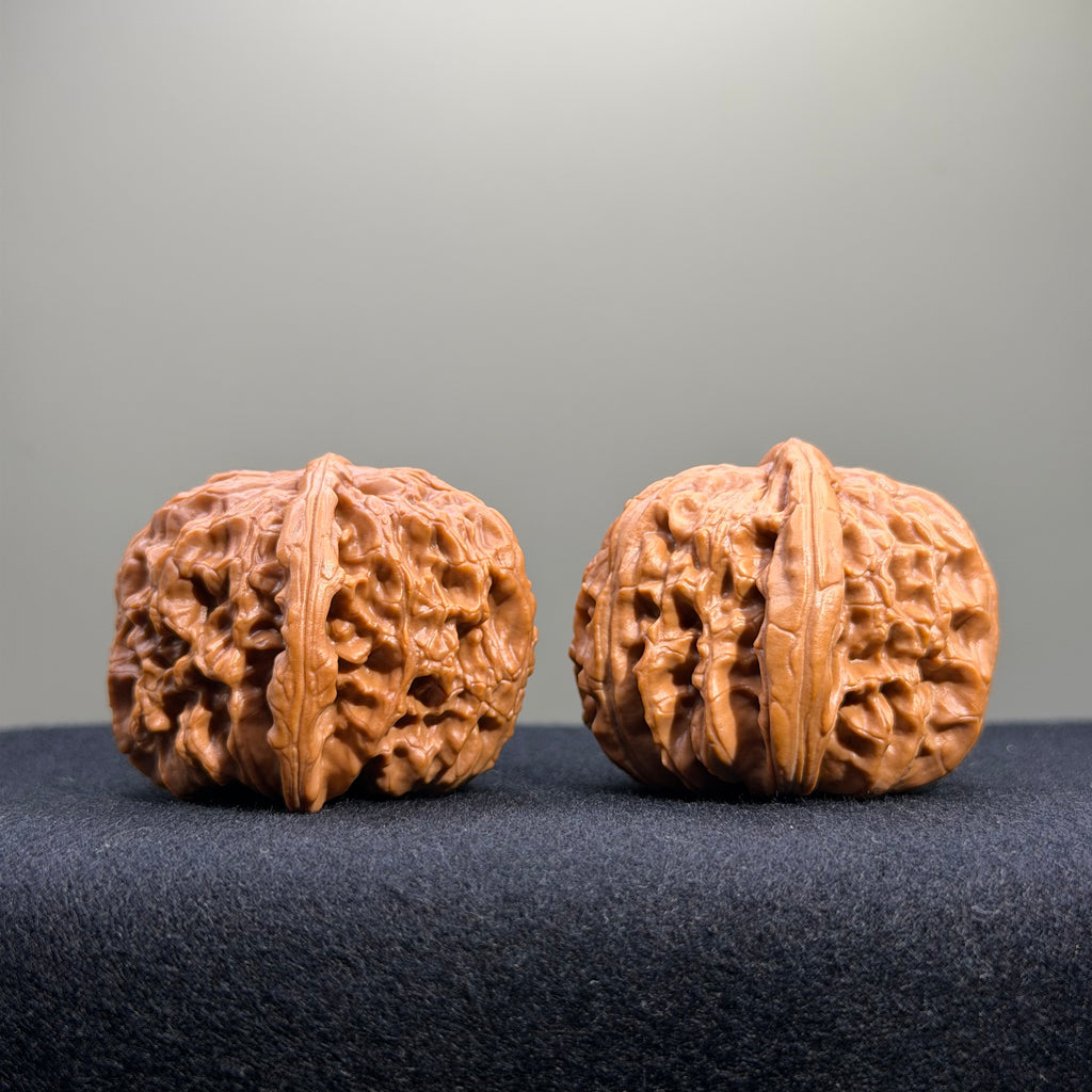 White Lion Wenwan Walnut · 39mm · Entry Ritual