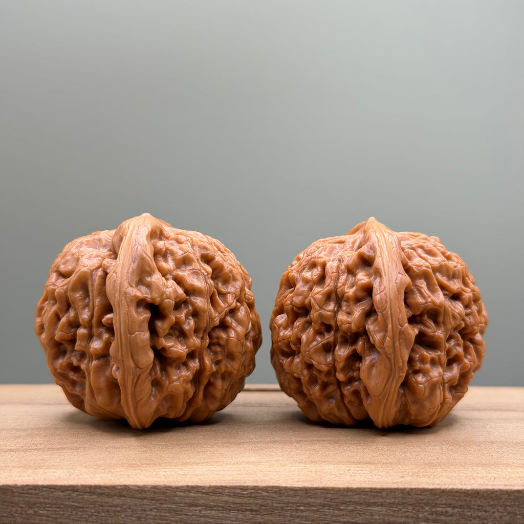Lotus Tiger Head Walnut