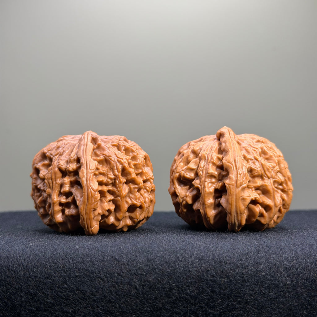 White Lion Wenwan Walnut · 39mm · Entry Ritual
